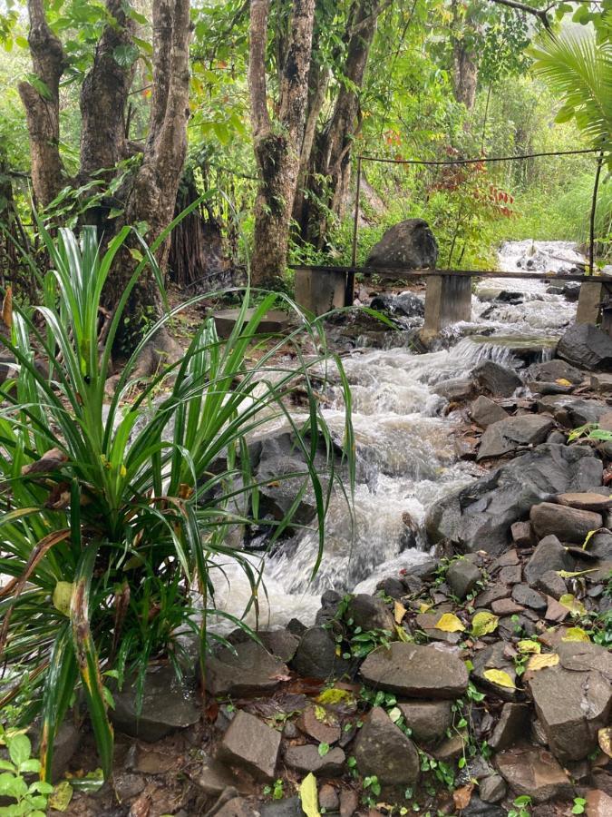 Sten Lodge Eco Homestay Labuan Bajo Eksteriør billede